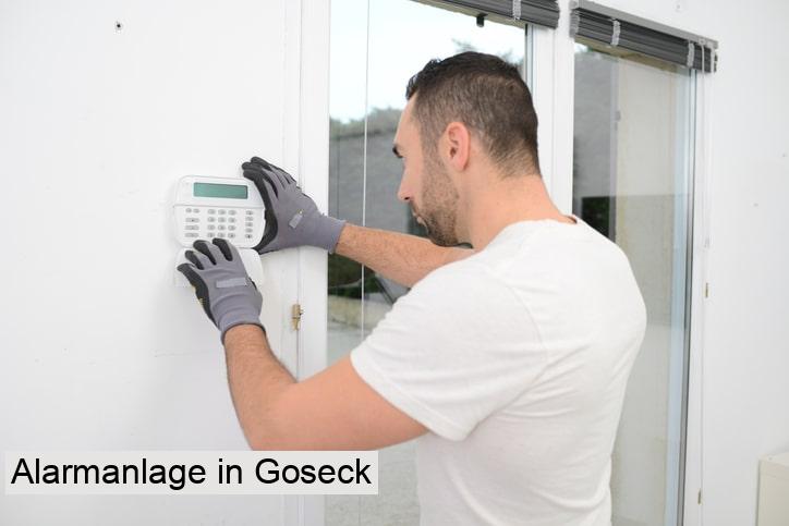 Alarmanlage in Goseck